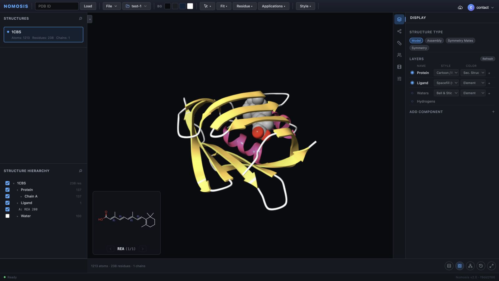 Nomosis Viewer with the 1CBS structure open in project test-1. Structures and hierarchy appear on the left, the molecular scene is centered, and Display controls appear on the right.